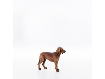 Jagdhund